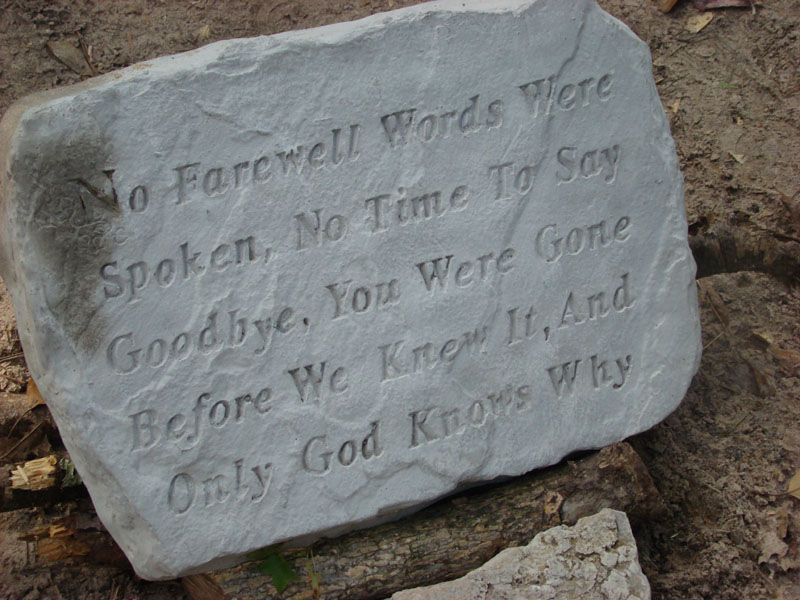 DSC01453