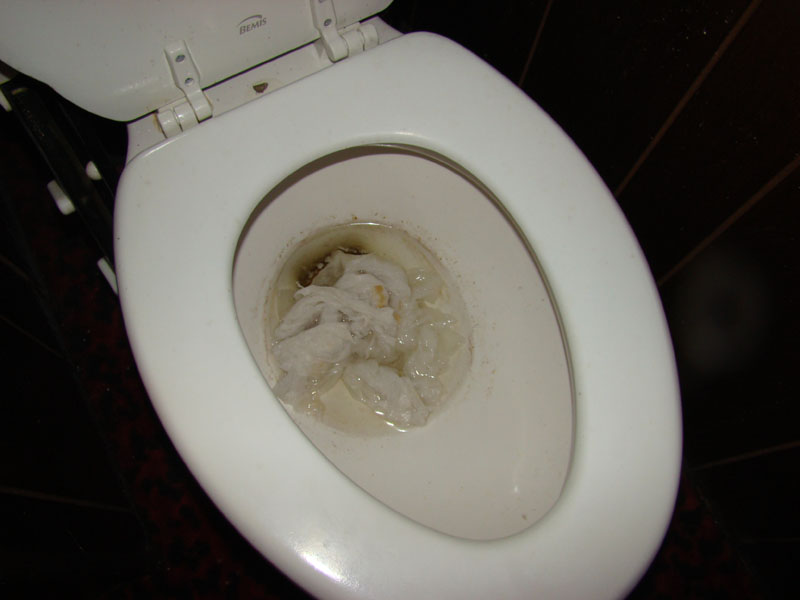 DSC01500