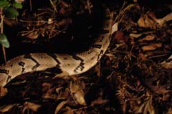DSC00997