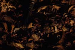 DSC00999