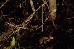 DSC01002
