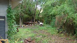 DSC01017