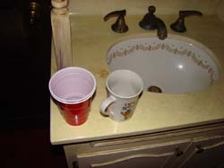 DSC01490