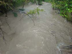 DSC01628