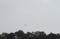 IMG_6702