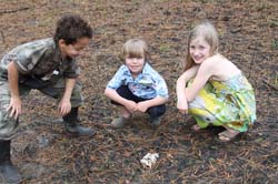 IMG_6868