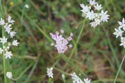 IMG_6880