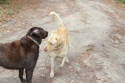 IMG_7087