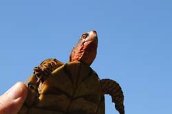 IMG_7589