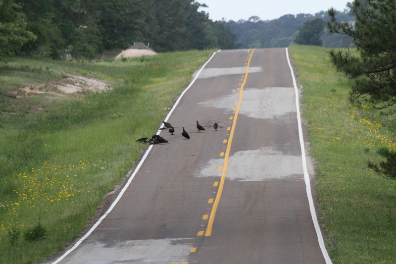 IMG_0169