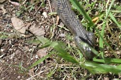 IMG_0058
