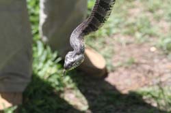IMG_0061