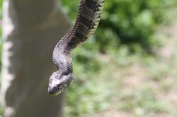 IMG_0064