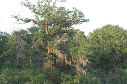 IMG_0092