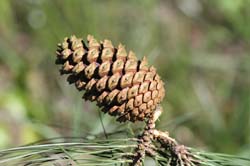 IMG_0194