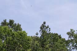 IMG_0255