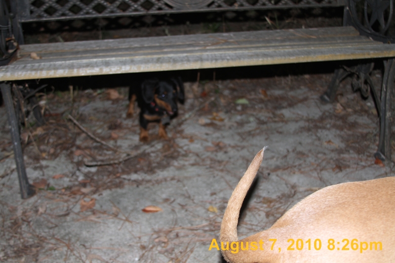 IMG_9655