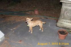 IMG_9670