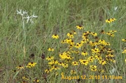 IMG_9755