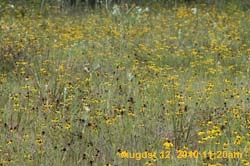 IMG_9757