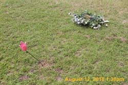 IMG_9795
