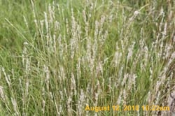 IMG_0903