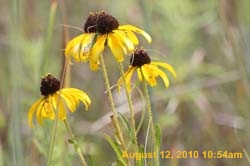 IMG_0909