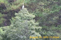 IMG_0910
