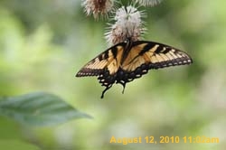 IMG_0913