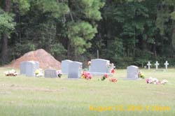 IMG_0918