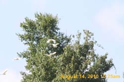 IMG_0941