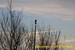 IMG_2863