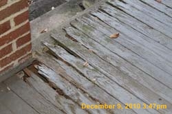 IMG_2883