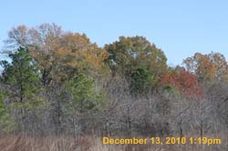 IMG_3150