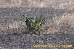 IMG_3153