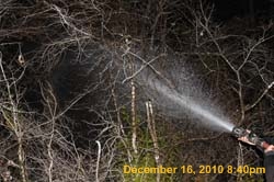 IMG_3191