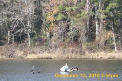 IMG_1571