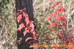 IMG_1626