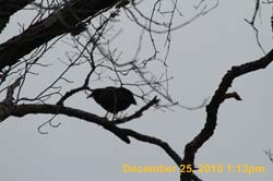 IMG_1667