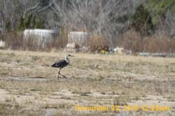 IMG_1682