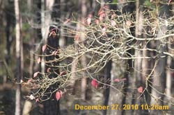 IMG_1689