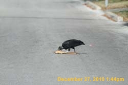 IMG_1693