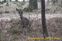 IMG_1695