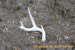 IMG_1705
