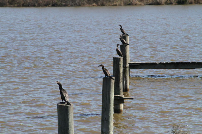 IMG_3063