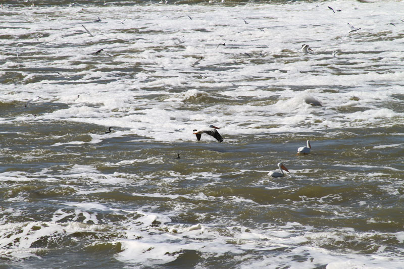 IMG_3505