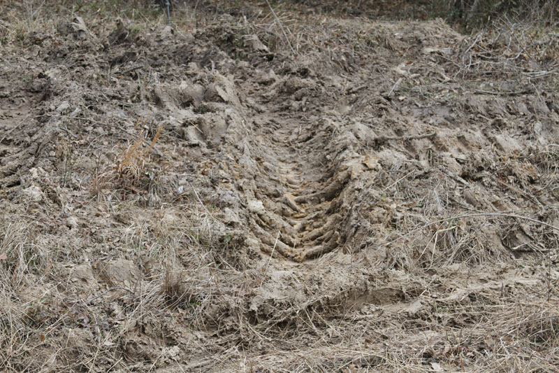 IMG_3532