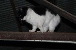 IMG_3188
