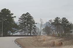 IMG_3217