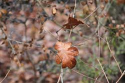 IMG_3758